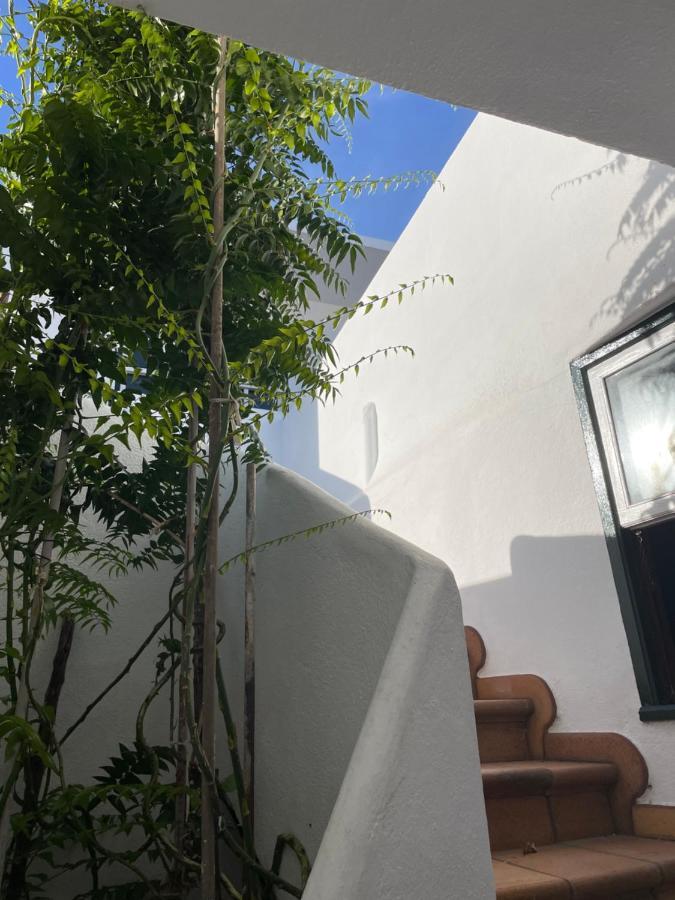 Willa Casa Madalita San Andres  Zewnętrze zdjęcie