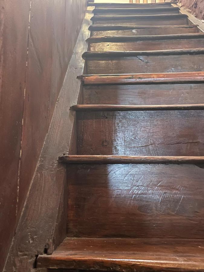 Willa Casa Madalita San Andres  Zewnętrze zdjęcie